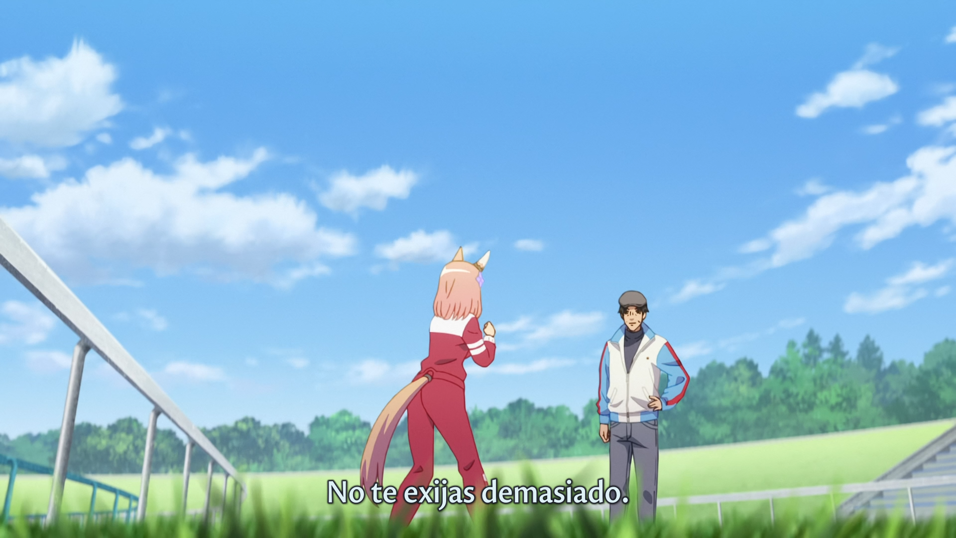 Uma Musume: Pretty Derby - Road to the Top (Hakoniwa)